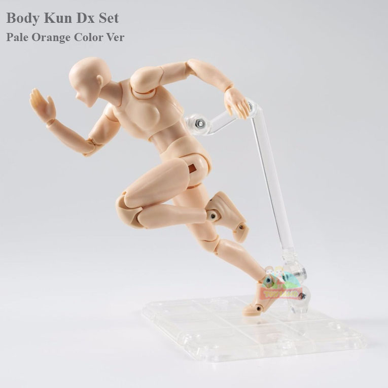 Body Kun DX Set